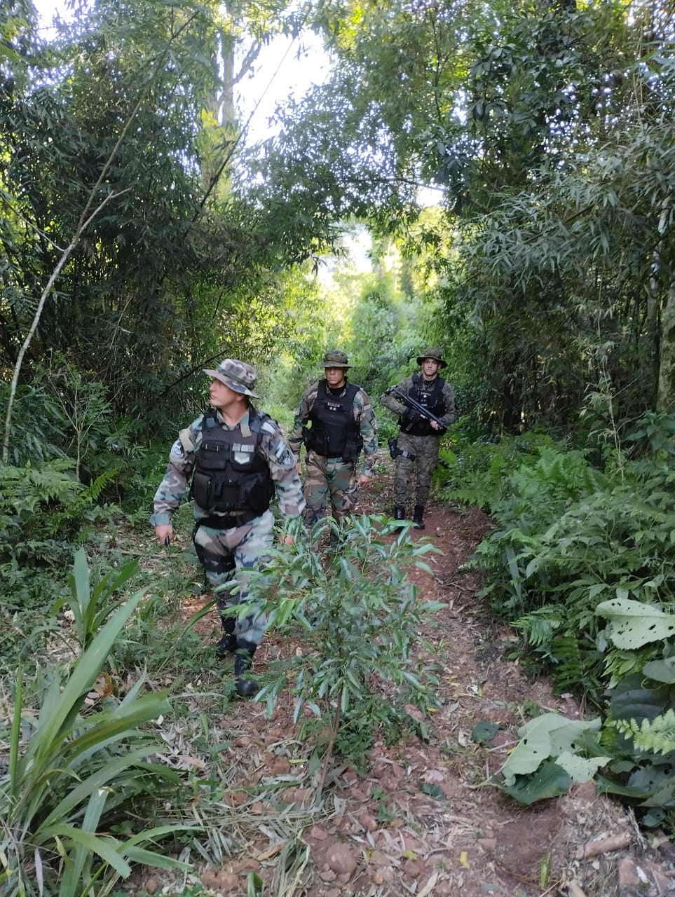 La Policía ejecuta un amplio operativo en Biosfera Yabotí y alrededores para prevenir la caza furtiva y el apeo ilegal imagen-2