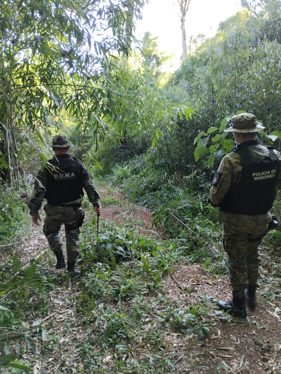 La Policía ejecuta un amplio operativo en Biosfera Yabotí y alrededores para prevenir la caza furtiva y el apeo ilegal imagen-6