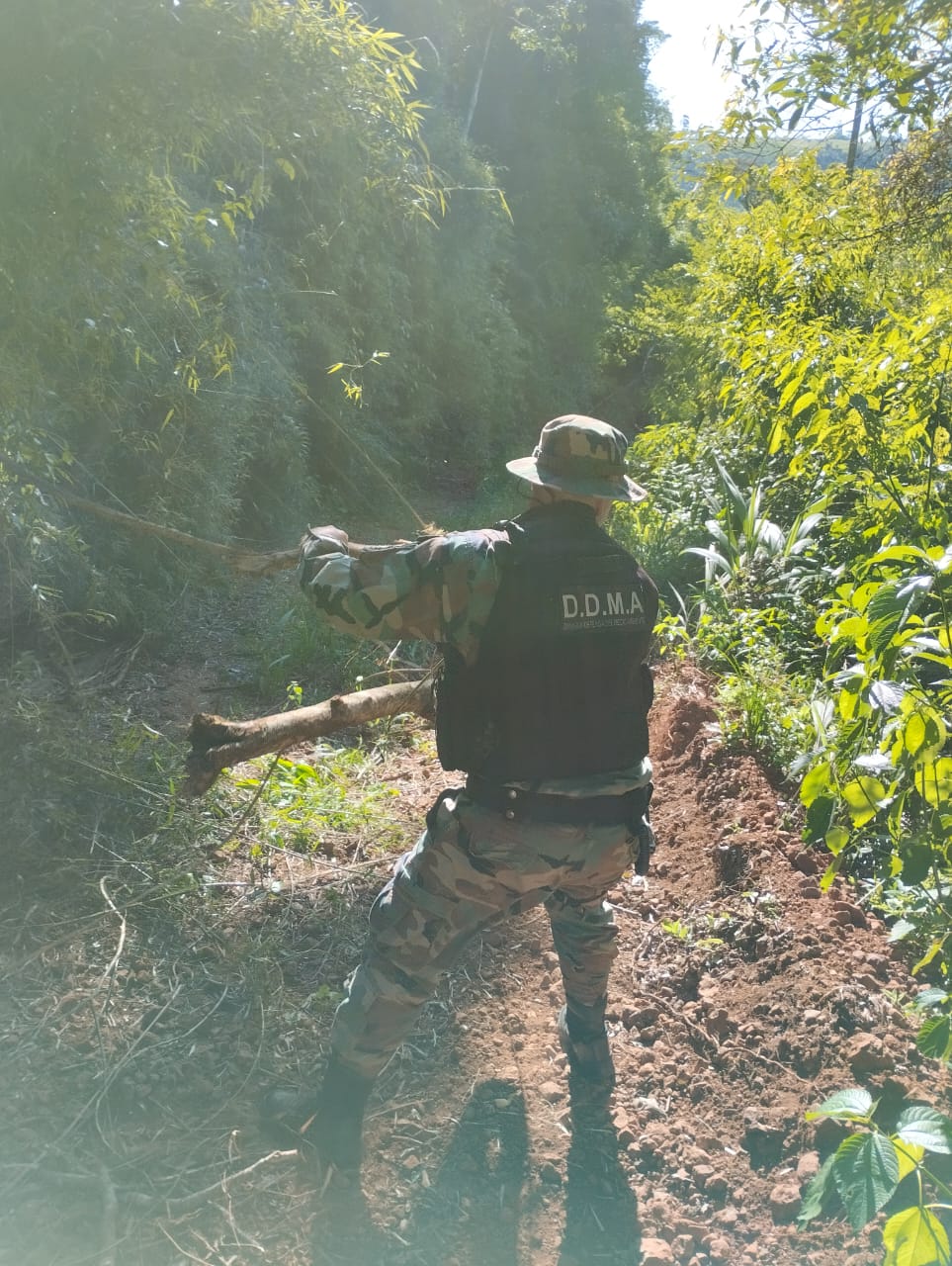 La Policía ejecuta un amplio operativo en Biosfera Yabotí y alrededores para prevenir la caza furtiva y el apeo ilegal imagen-8