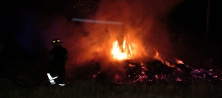 Doble incendio en Panambí: Vivienda y maleza incendiadas sin víctimas fatales imagen-5