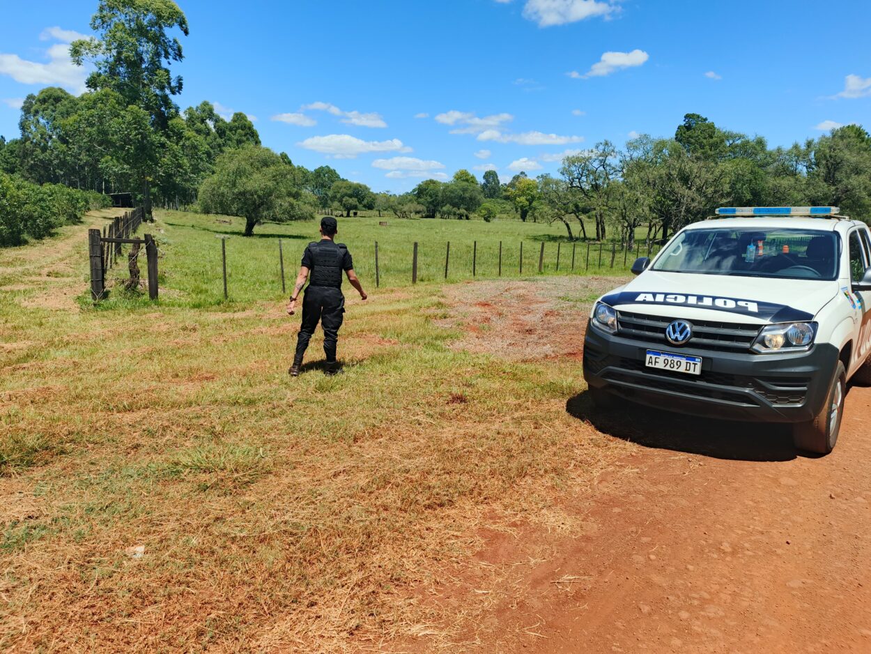 Jefatura redobla los operativos rurales en Misiones: las 15 unidades regionales combaten los delitos ambientales imagen-2