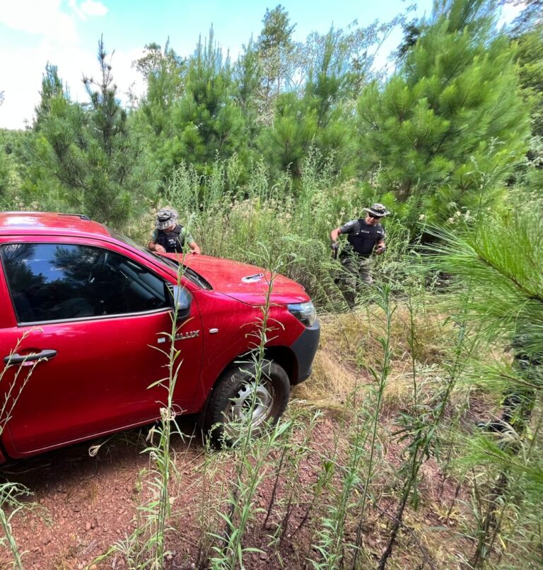 Policías de Montecarlo rastrearon y recuperaron una camioneta robada en Eldorado imagen-10