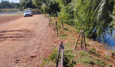 Dos de Mayo: Ecología exigió y consiguió que el Municipio plantara más de 100 árboles para compensar ejemplares que había extraído de un espacio verde imagen-10