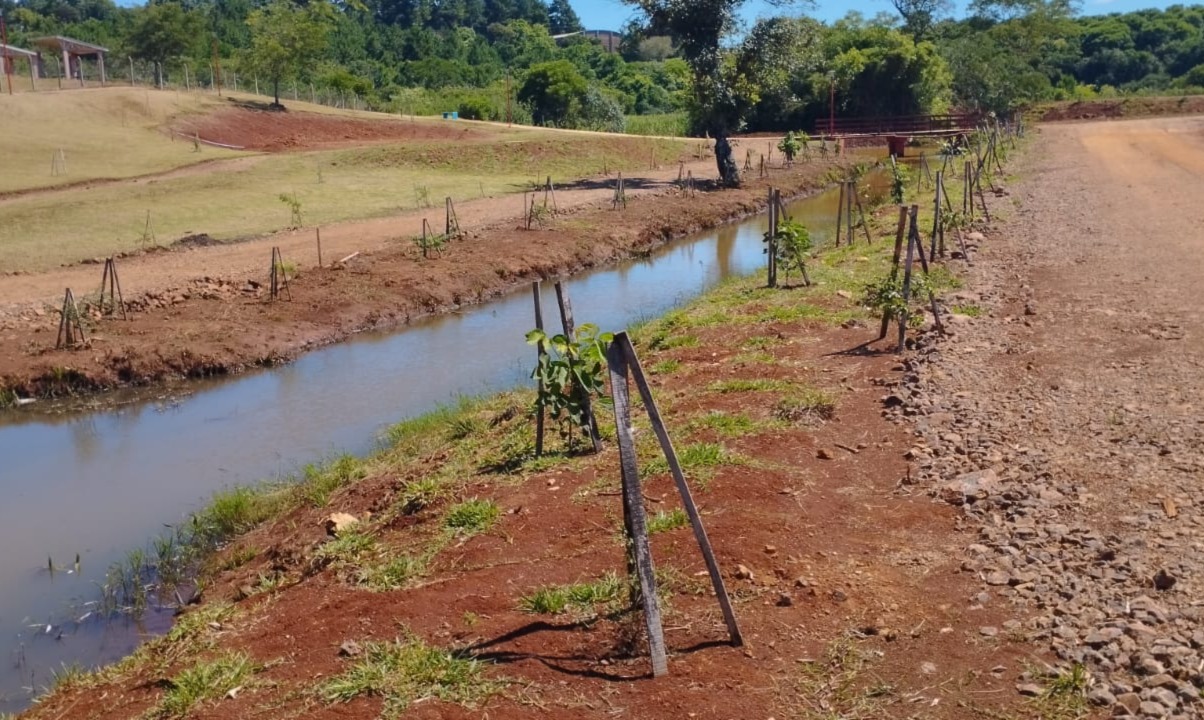 Dos de Mayo: Ecología exigió y consiguió que el Municipio plantara más de 100 árboles para compensar ejemplares que había extraído de un espacio verde imagen-4