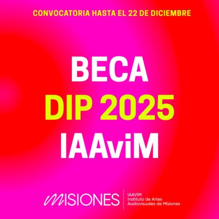 El Iaavim lanzó becas para artistas misioneros en el programa internacional DIP 2025  imagen-1