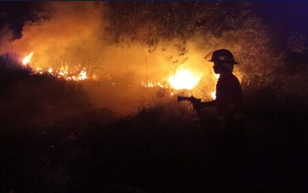 “La Niña va perdiendo fuerza, si no generan fuego no tendremos incendios significativos este verano”, observan imagen-6