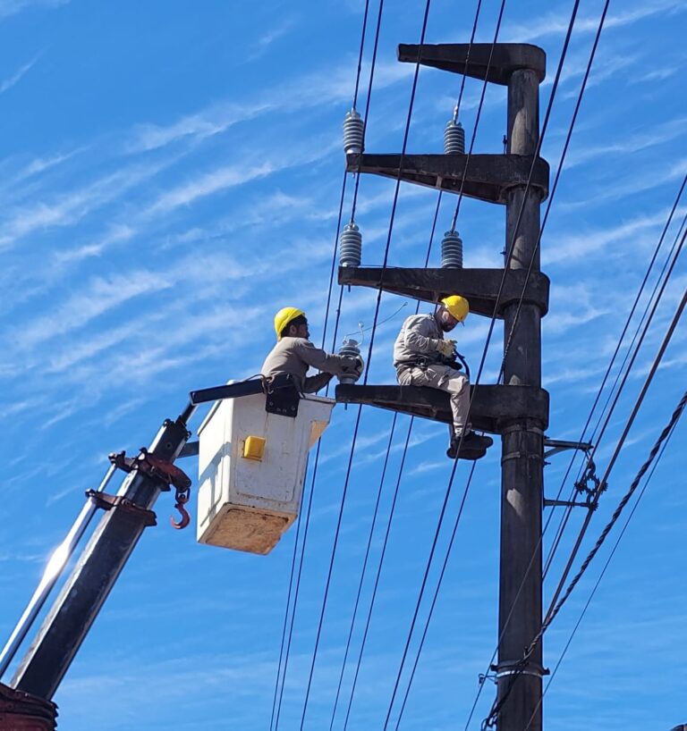 Energía de Misiones refuerza el servicio eléctrico en el sur de Posadas para afrontar la temporada de alta demanda imagen-41