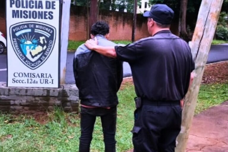 La Policía arrestó a 7 personas involucradas en distintos ilícitos y recuperaron bienes imagen-25