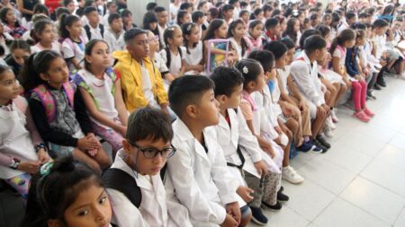 Misiones aumenta su matrícula escolar: Más de 125.000 estudiantes ingresarán al ciclo lectivo 2025 imagen-7