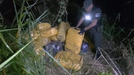 Incautan más de 1 tonelada de marihuana en dos procedimientos imagen-2