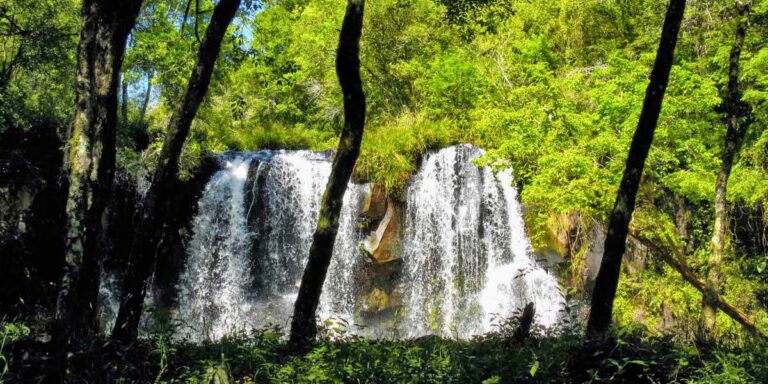 Explorá Alem: una propuesta turística única que combina cultura, ecología, recreación y descanso en un solo lugar imagen-10