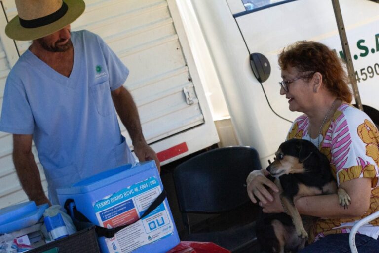 El Imusa refuerza su presencia en los barrios posadeños con servicios veterinarios itinerantes imagen-7