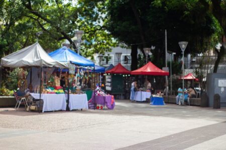 El Paseo Comercial de la Plaza San Martín: una oportunidad para el crecimiento emprendedor en Posadas imagen-3