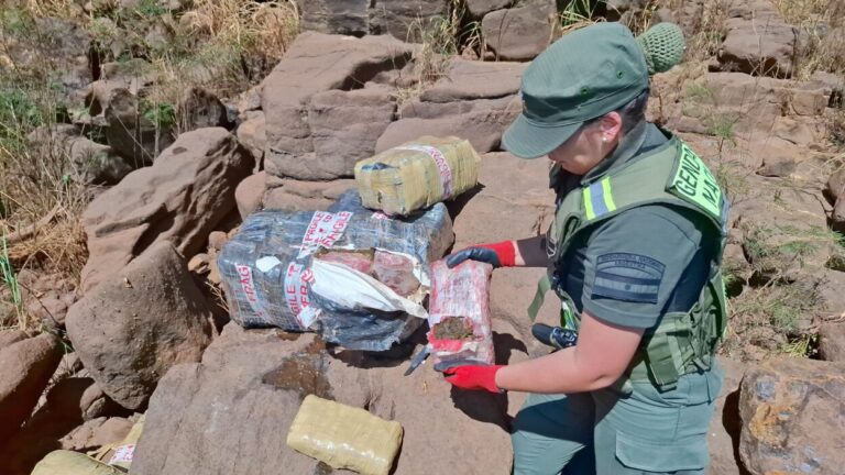 Decomisan más de 550 kilos de cannabis en Colonia Victoria: Operativo de Gendarmería en la frontera imagen-33