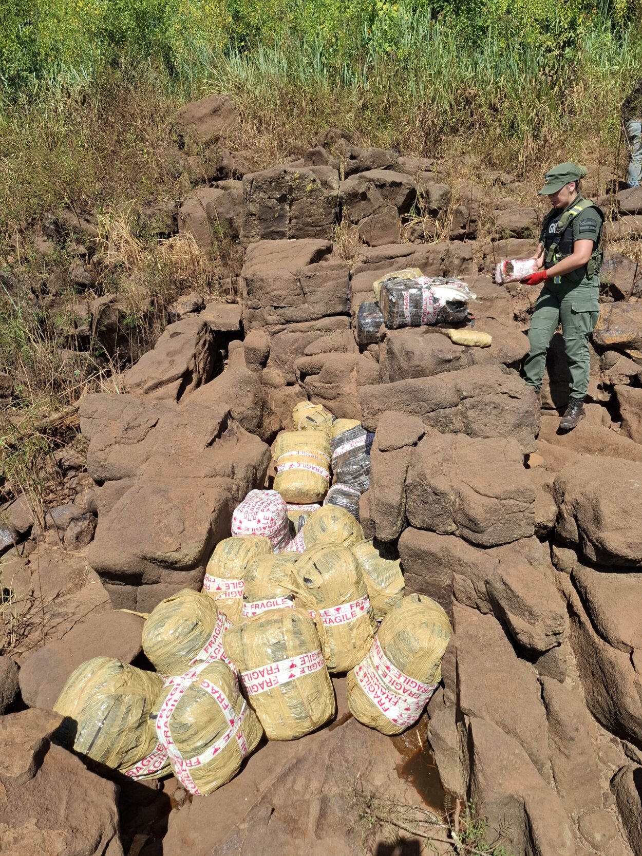 Decomisan más de 550 kilos de cannabis en Colonia Victoria: Operativo de Gendarmería en la frontera imagen-4