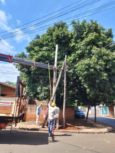 Energía: avanza el recambio de postes de madera por hormigón en Puerto Iguazú imagen-8