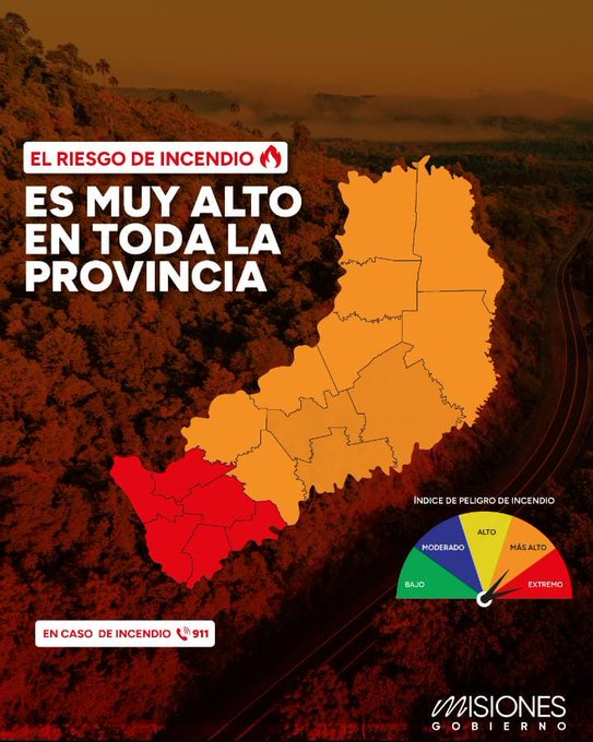 Misiones en alerta: el 99% de los incendios forestales son provocados por el ser humano imagen-6