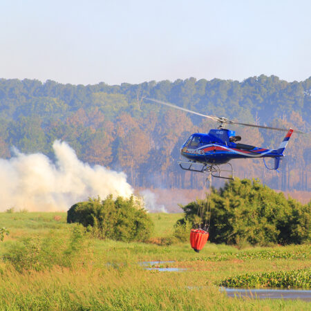 En los primeros días del año, Bomberos de la Policía realizaron 110 intervenciones para sofocar incendios imagen-5