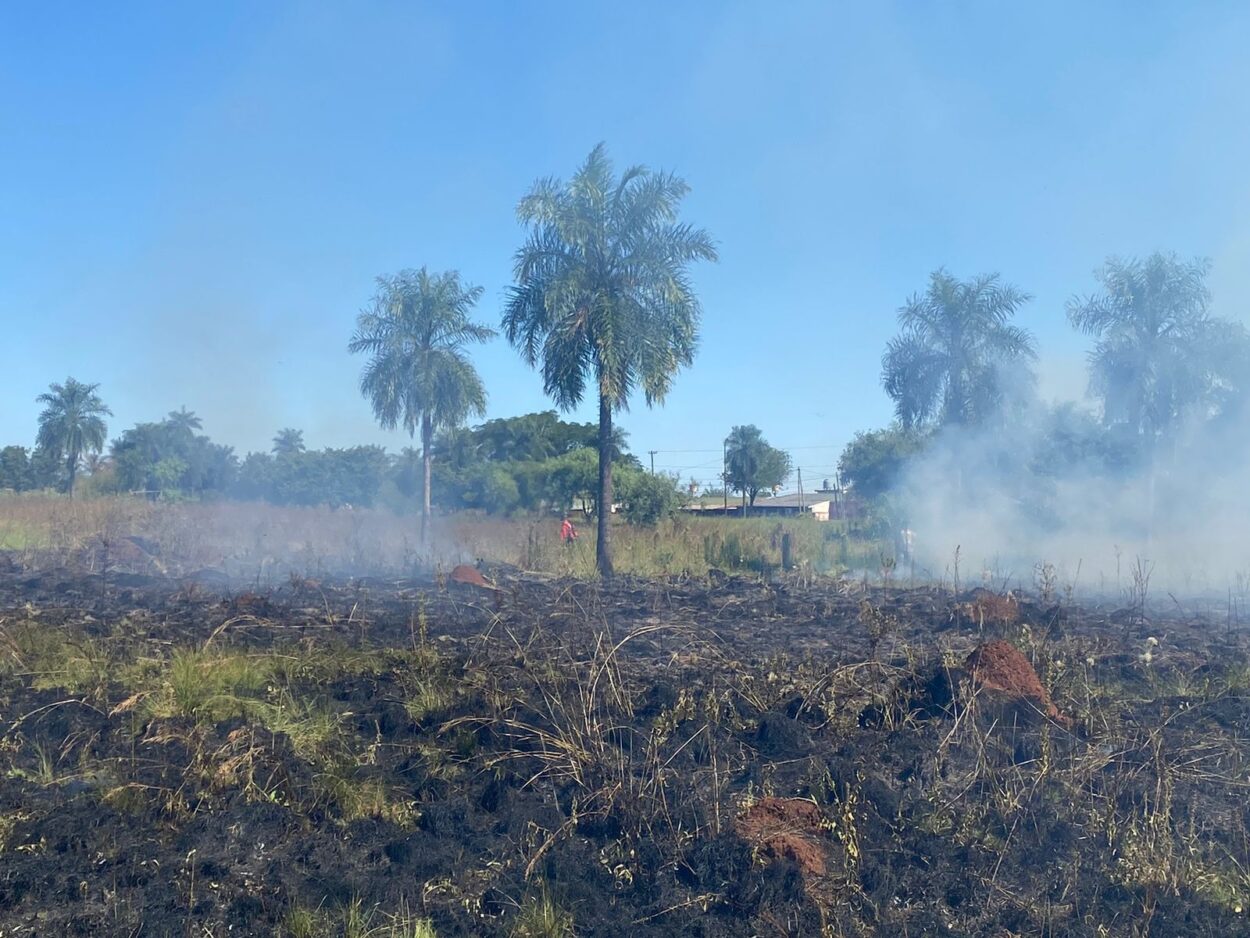 En los primeros días del año, Bomberos de la Policía realizaron 110 intervenciones para sofocar incendios imagen-4