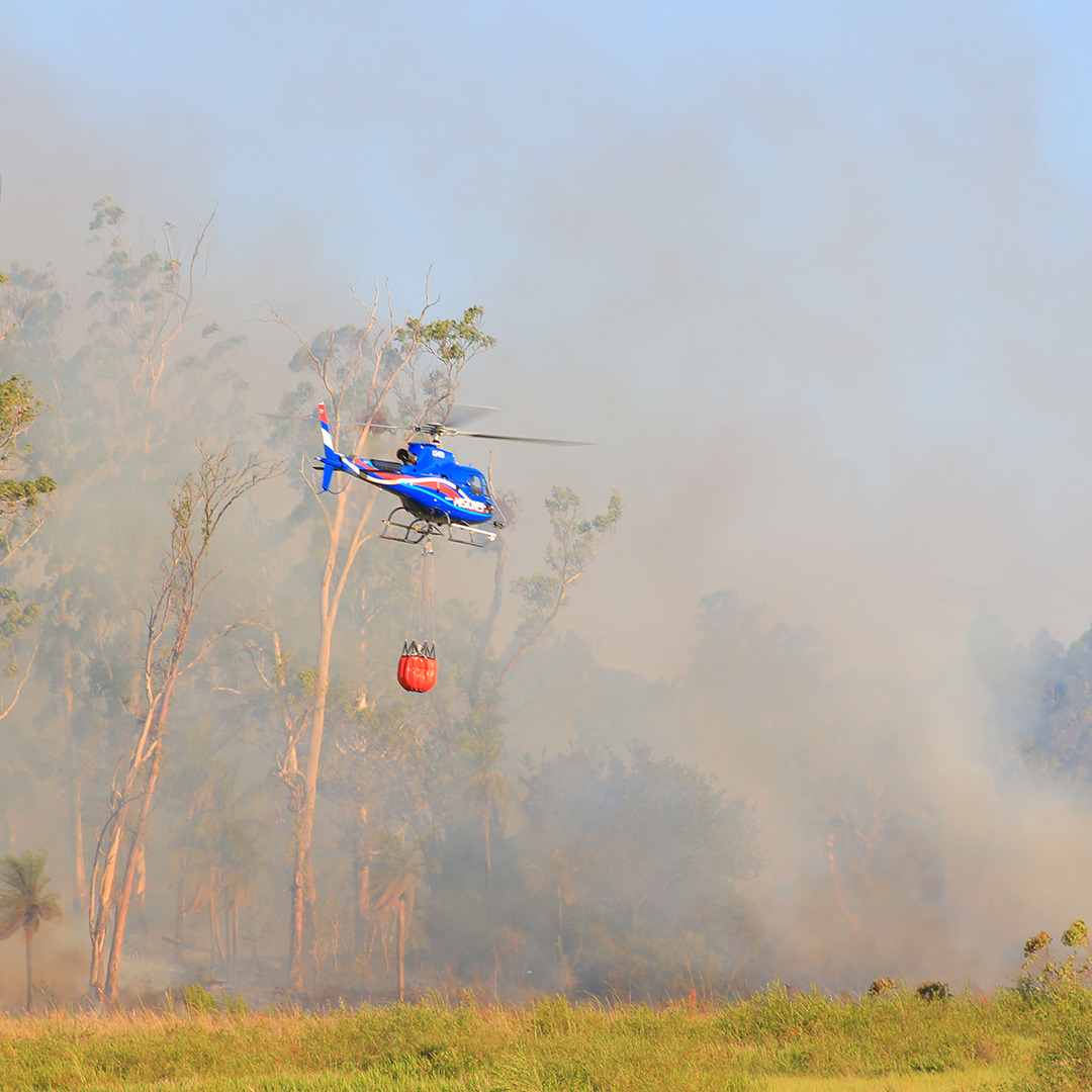 En los primeros días del año, Bomberos de la Policía realizaron 110 intervenciones para sofocar incendios imagen-6