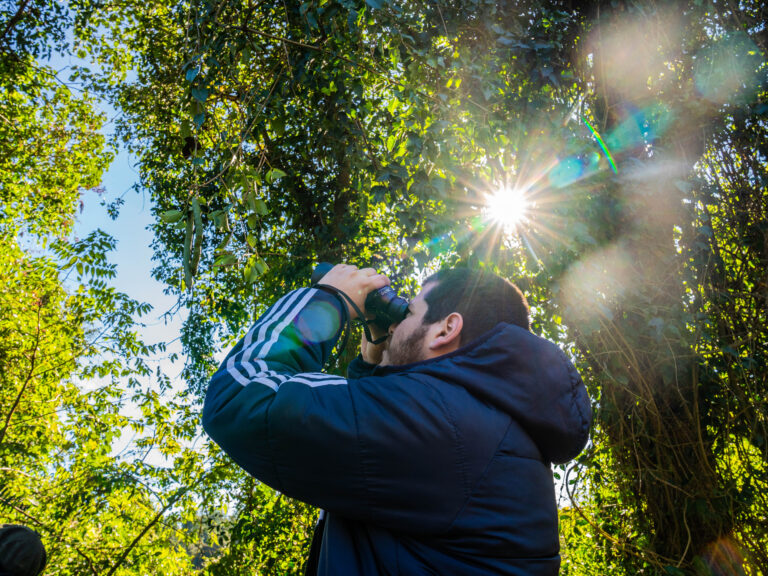 Invitan a una jornada gratuita de observación de aves en Corpus Christi imagen-6