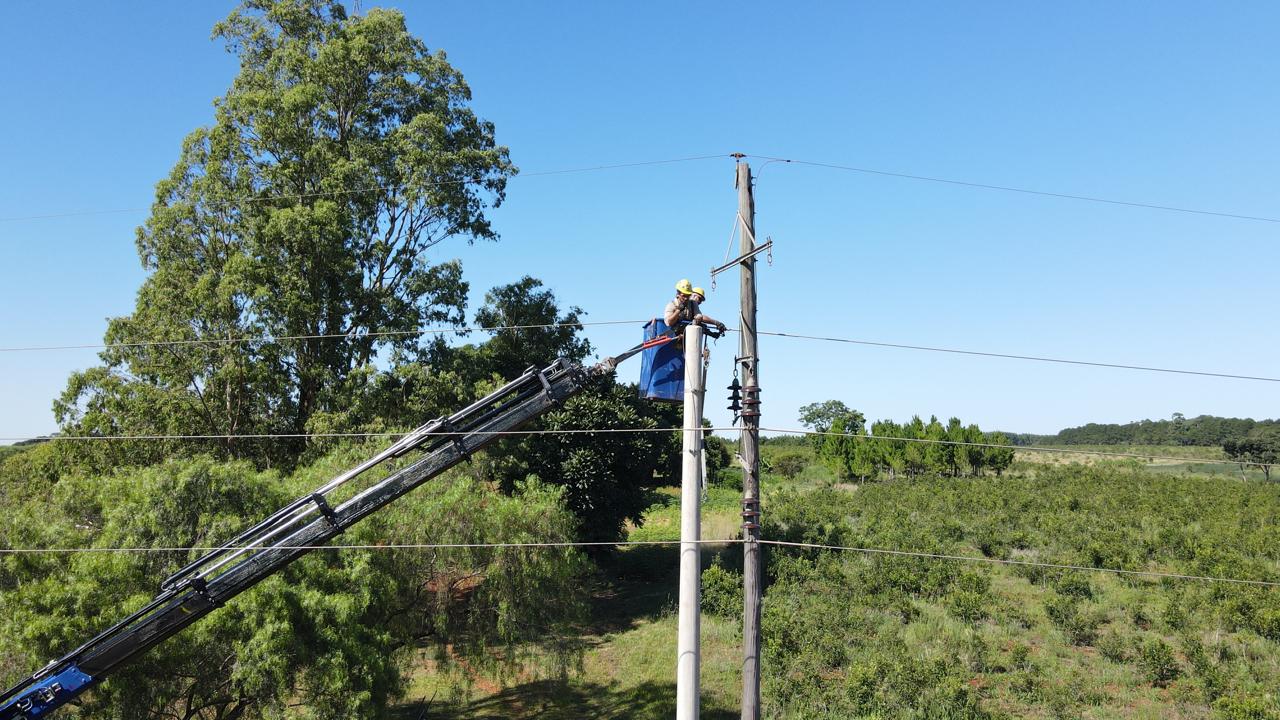 Importantes avances en recambio de postes en la línea 33 kV Apóstoles-Concepción imagen-6