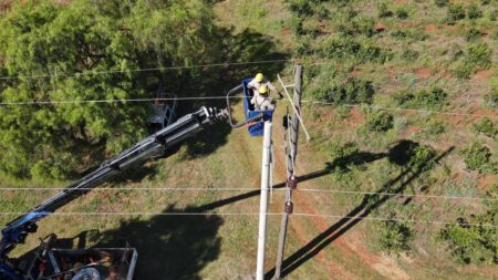 Importantes avances en recambio de postes en la línea 33 kV Apóstoles-Concepción imagen-4