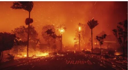 Incendios en Los Ángeles: ya son 180 mil evacuados y 16 muertos imagen-5