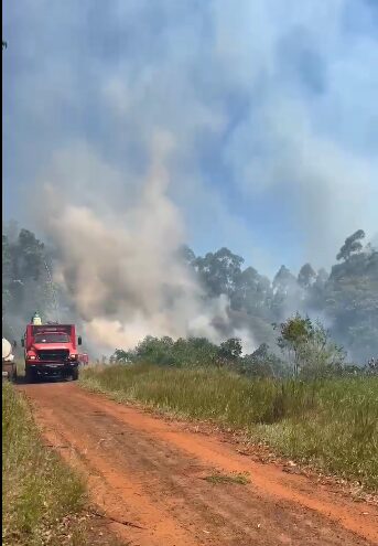 Intenso incendio de malezas en la zona de la Biofábrica: Más de 6 dotaciones de bomberos trabajan para sofocar las llamas imagen-7