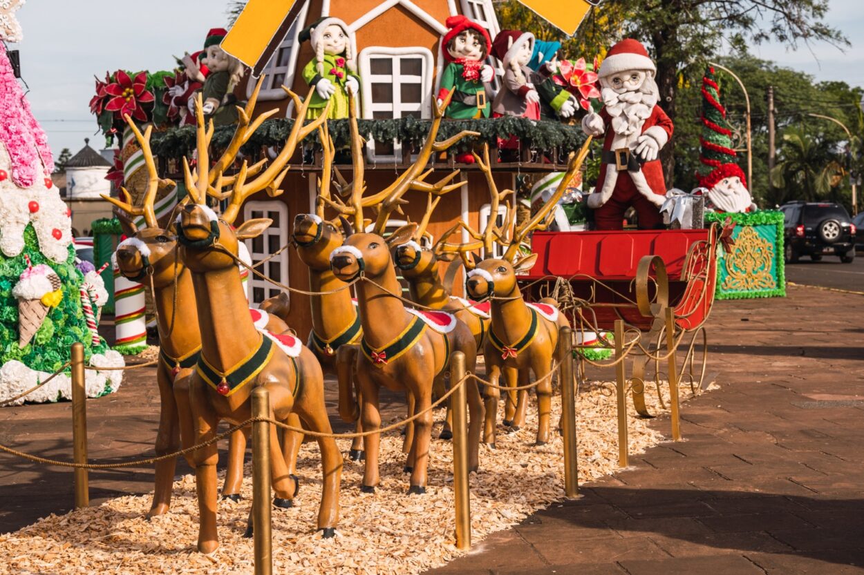 Alem recibe a los Reyes y cierra su programa para esta edición de la Fiesta Nacional de la Navidad imagen-12