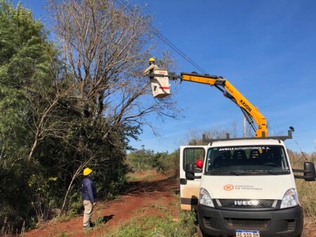 Energía de Misiones trabaja en el despeje de más de 160 km de líneas troncales imagen-11