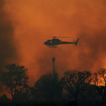 Misiones sigue en alerta roja: el índice de riesgo de incendios es extremo en toda la provincia imagen-7