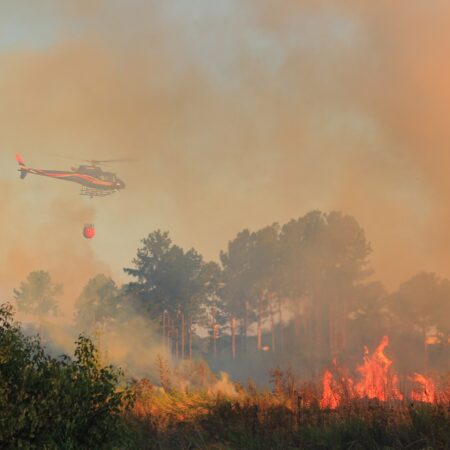 La Semana Periodística: Los Ahora Misiones potencian el comercio y el turismo, en un verano con extrema peligrosidad de incendios imagen-5