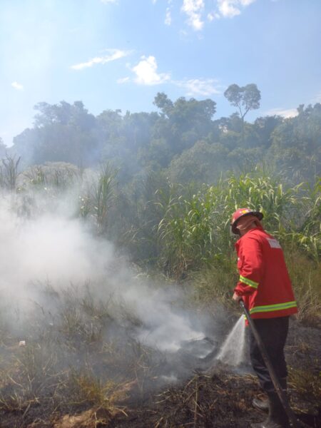 Incendios de montes y malezas en Los Helechos y Oberá no registraron personas lesionadas imagen-11