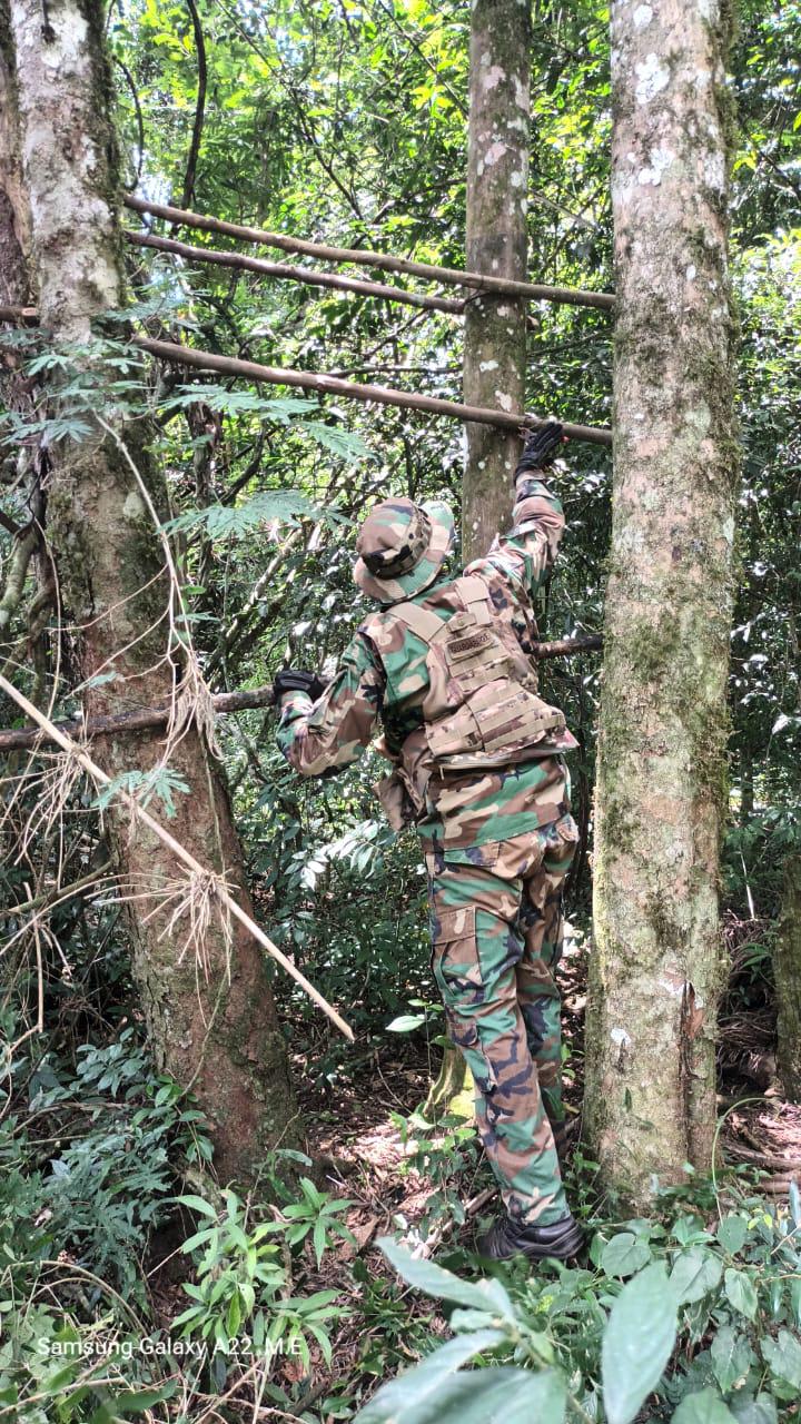 Yabotí: en un operativo destruyeron trampas y sorprendieron a un cazador furtivo imagen-6