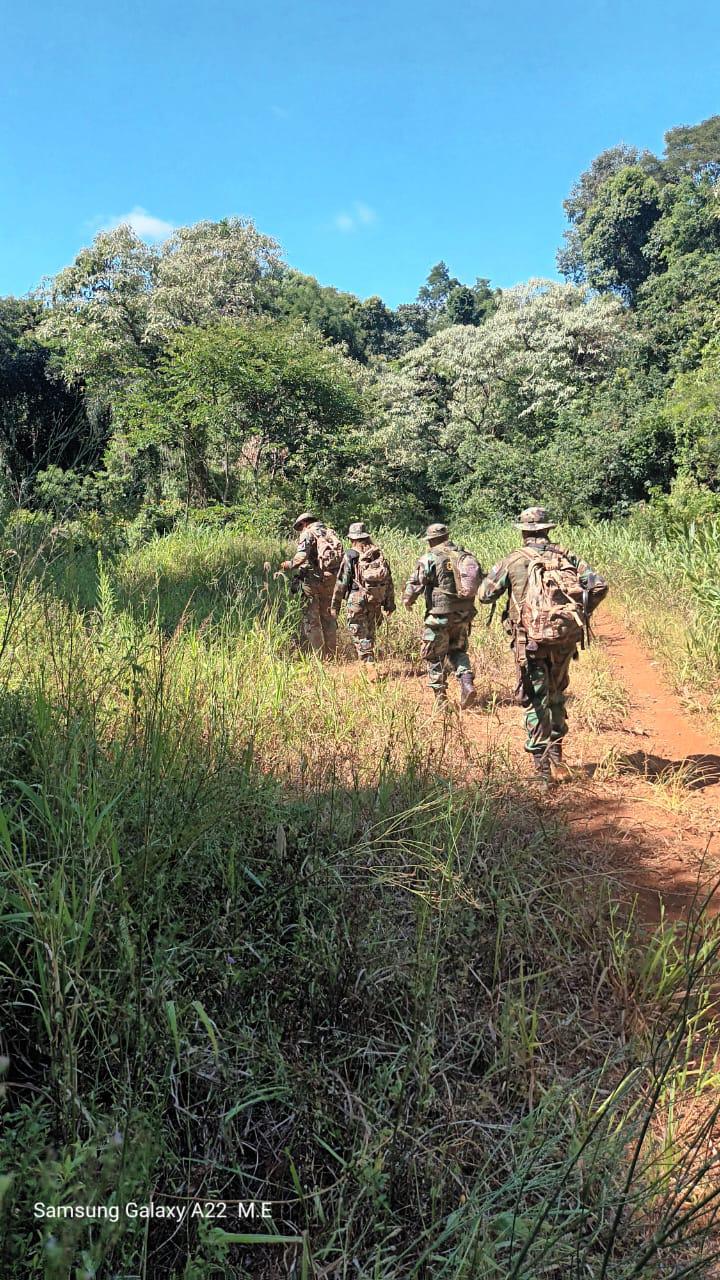 Yabotí: en un operativo destruyeron trampas y sorprendieron a un cazador furtivo imagen-4