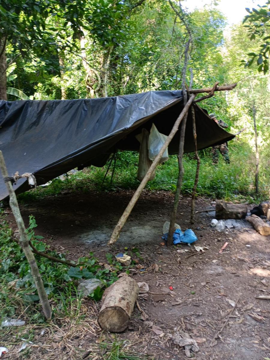 Yabotí: en un operativo destruyeron trampas y sorprendieron a un cazador furtivo imagen-17