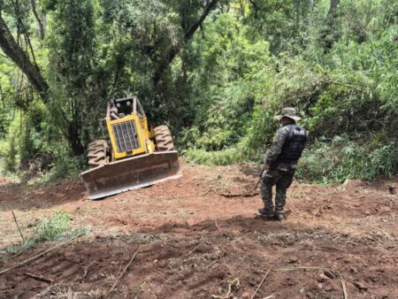 Robo de madera en Piñalito: encuentran oculta la máquina con la que habrían trasladado los rollos y apuntan a una familia de madereros imagen-23