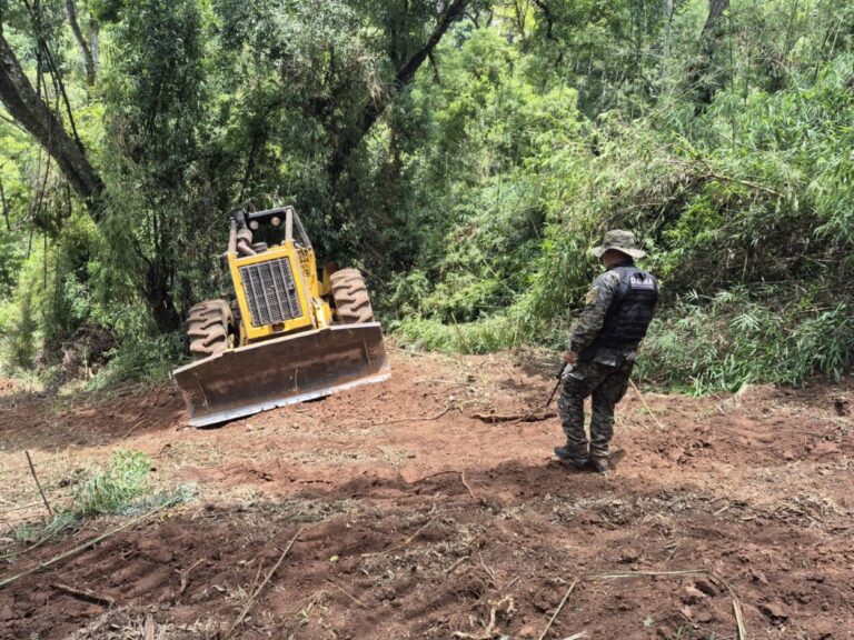 Robo de madera en Piñalito: encuentran oculta la máquina con la que habrían trasladado los rollos y apuntan a una familia de madereros imagen-36