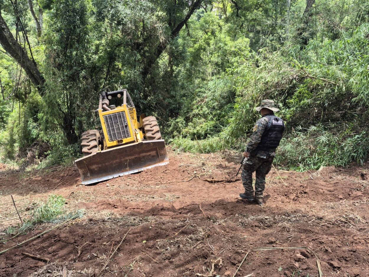 Robo de madera en Piñalito: encuentran oculta la máquina con la que habrían trasladado los rollos y apuntan a una familia de madereros imagen-24