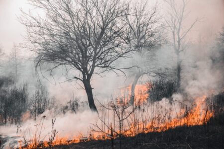 Respuesta municipal ante la emergencia por incendios en Posadas imagen-7