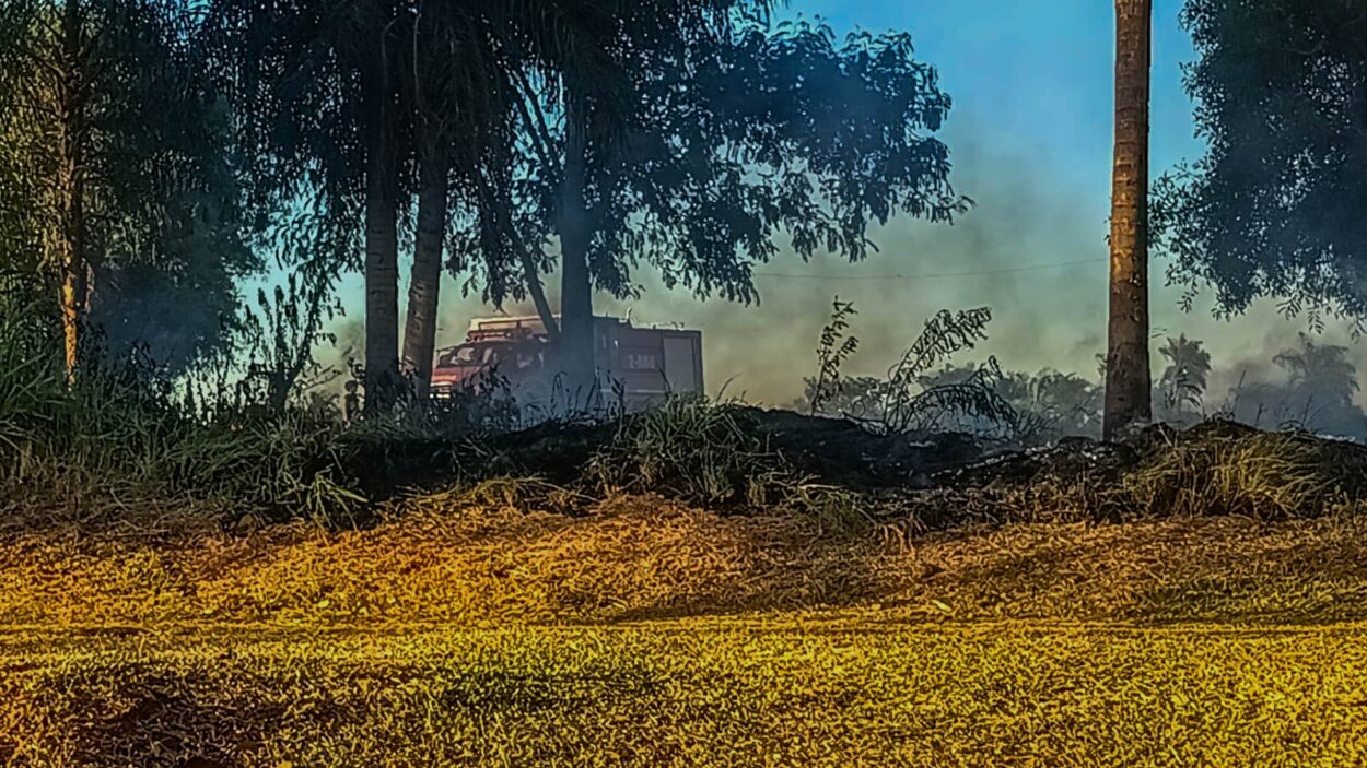 Respuesta municipal ante la emergencia por incendios en Posadas imagen-8