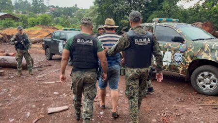 Detienen al dueño de un aserradero en el que encontraron madera nativa que habría sido robada en el Parque Provincial Piñalito imagen-7