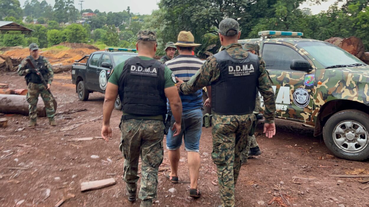 Detienen al dueño de un aserradero en el que encontraron madera nativa que habría sido robada en el Parque Provincial Piñalito imagen-8