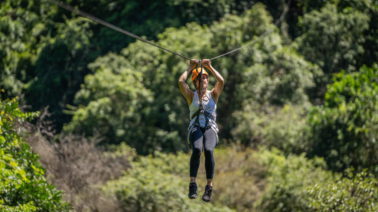 Turismo en Misiones: La primera quincena de enero registra una ocupación superior al 70% imagen-2