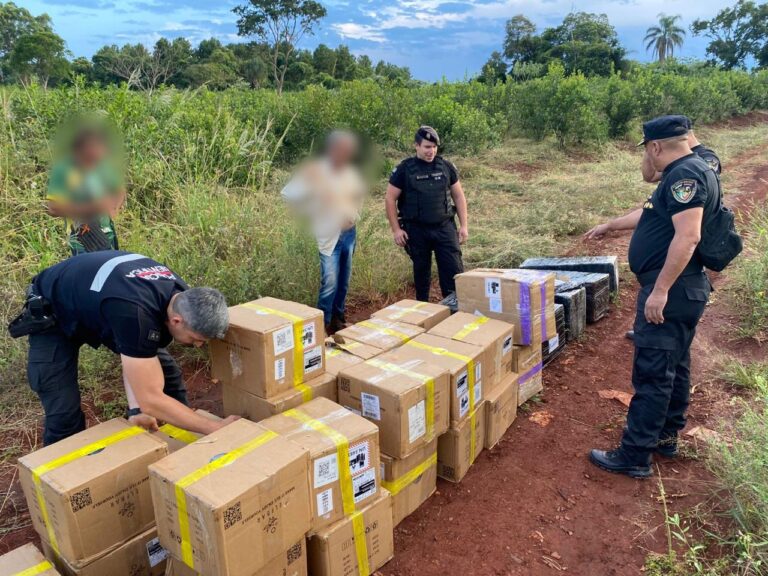 Secuestraron cigarrillos electrónicos de contrabando por más de 100 millones de pesos imagen-9