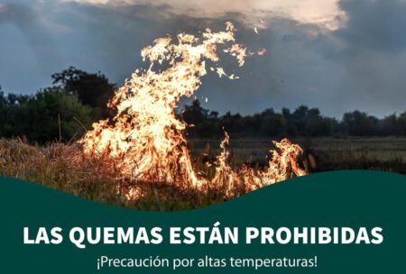 Prohibición de quemas en Posadas: alternativas y recomendaciones para una correcta disposición de residuos imagen-5