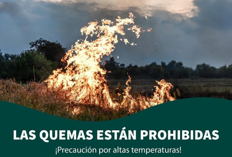 Prohibición de quemas en Posadas: alternativas y recomendaciones para una correcta disposición de residuos imagen-26