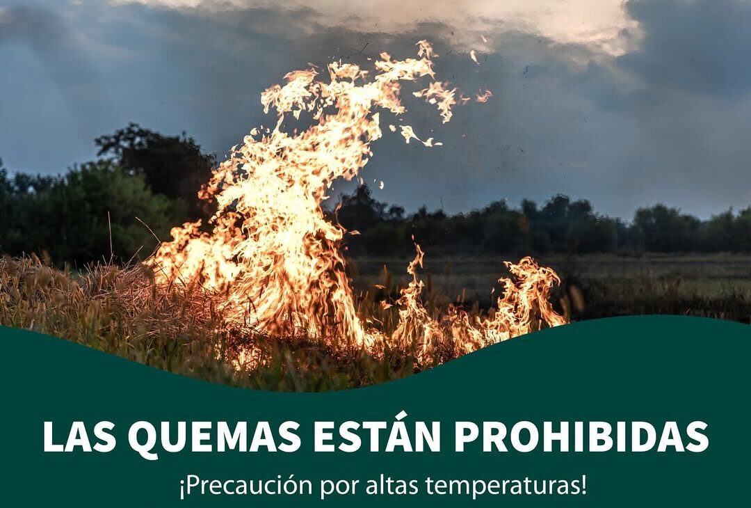 Prohibición de quemas en Posadas: alternativas y recomendaciones para una correcta disposición de residuos imagen-6