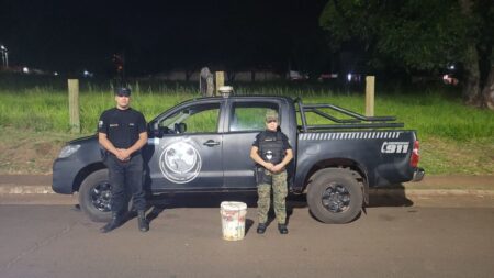 Capturaron una Yarará que apareció en una calle de Posadas imagen-2